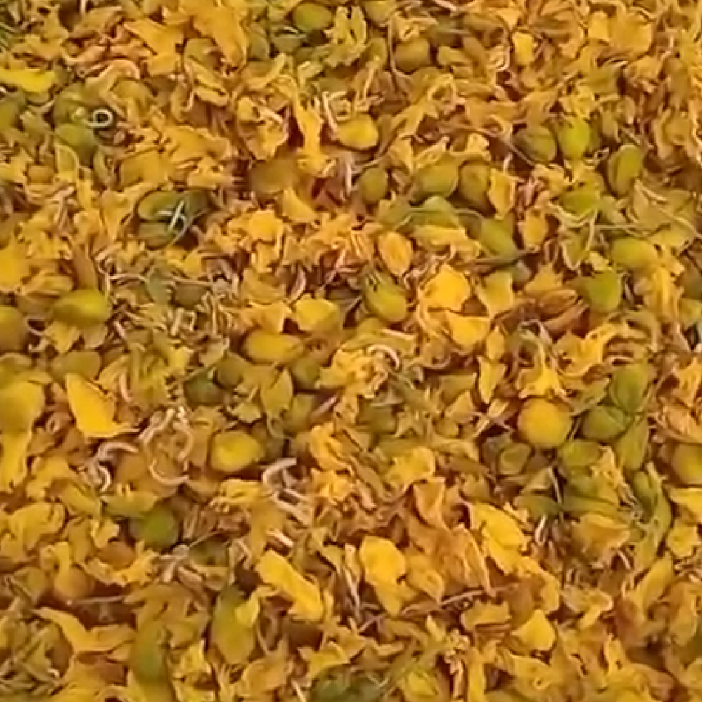 Avarampoo Flower Powder for Face & Hair Mask