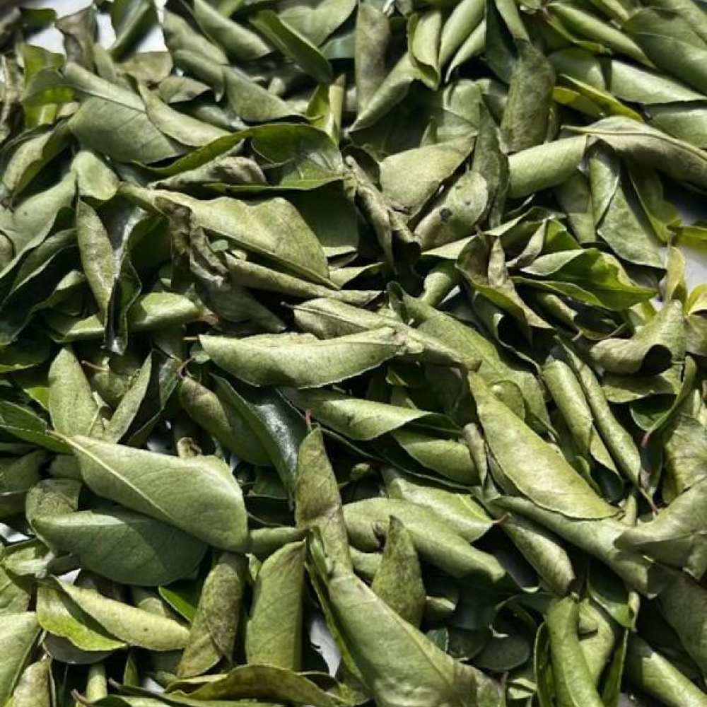 Curry Leaves Powder I Curry Patta Powder I 100 gms