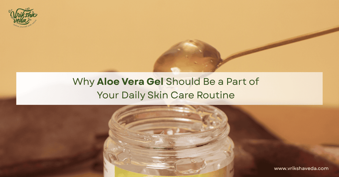 Why Aloe Vera Gel Should Be a Part of Your Daily Skin Care Routine?