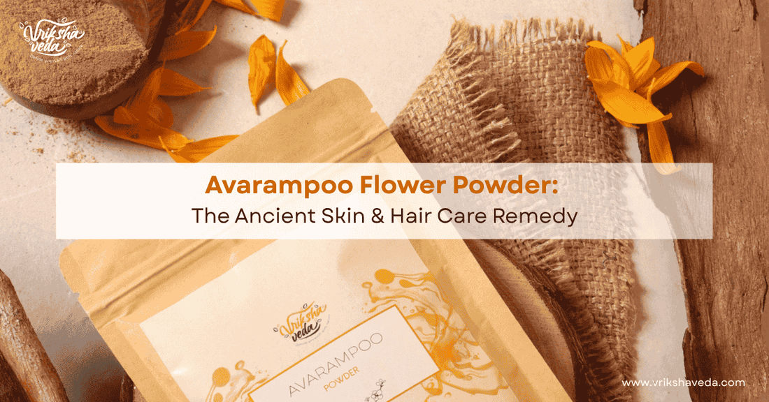 Avarampoo Flower Powder: The Ancient Skin & Hair Care Remedy