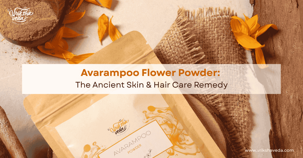Avarampoo Flower Powder: The Ancient Skin & Hair Care Remedy