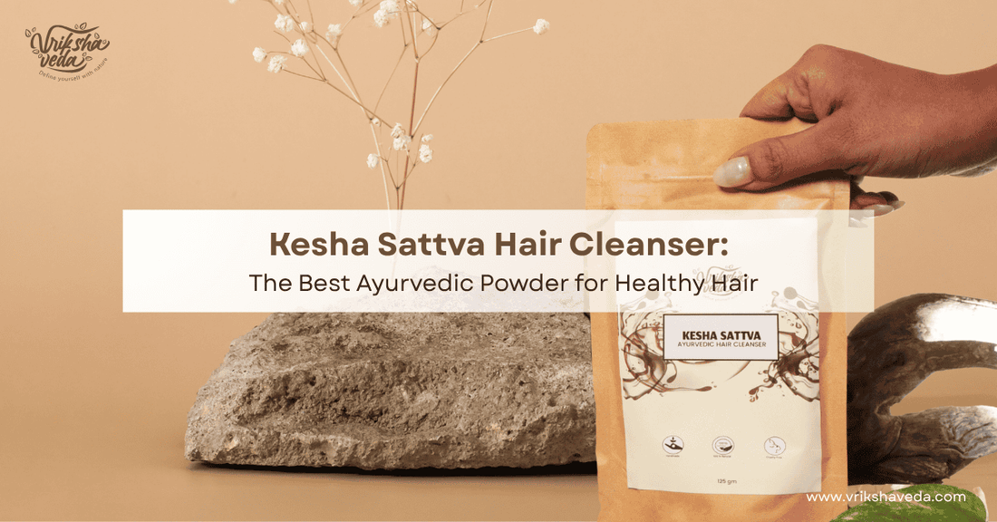 Kesha Sattva Hair Cleanser: The Best Ayurvedic Powder for Healthy Hair
