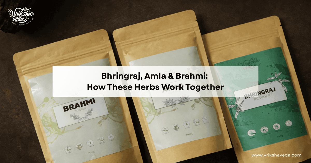 Bhringraj, Amla & Brahmi: How These Herbs Work Together