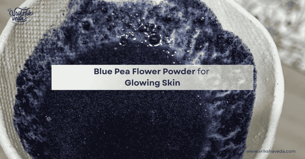 Blue Pea Flower Powder for Glowing Skin