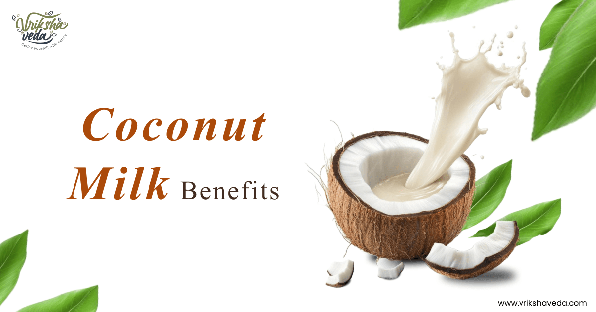 Coconut Milk Benefits