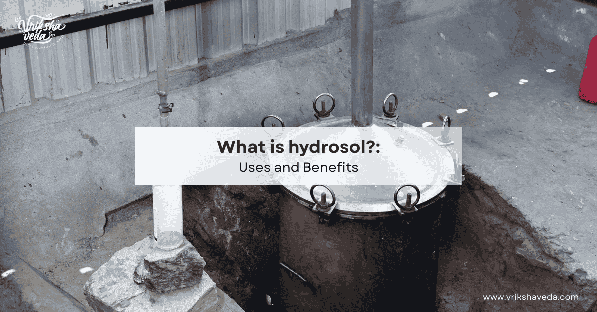 What is Hydrosol? Uses and Benefits