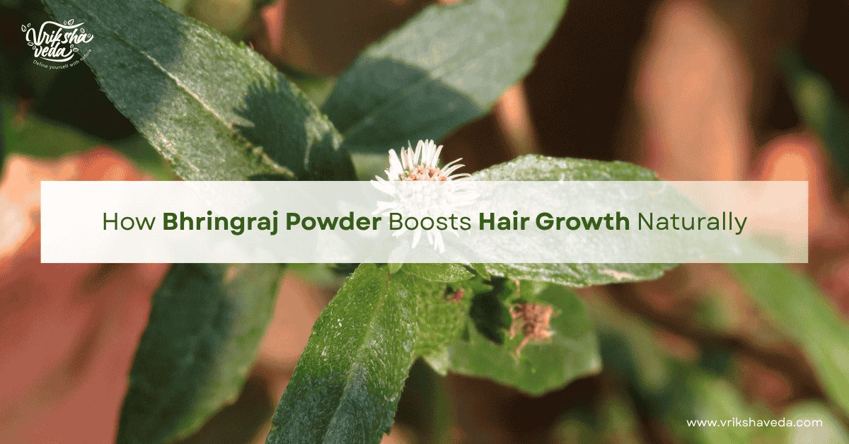 How Bhringraj Powder Boosts Hair Growth Naturally?