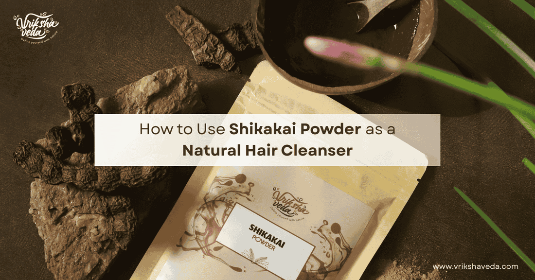 How to Use Shikakai Powder as a Natural Hair Cleanser?