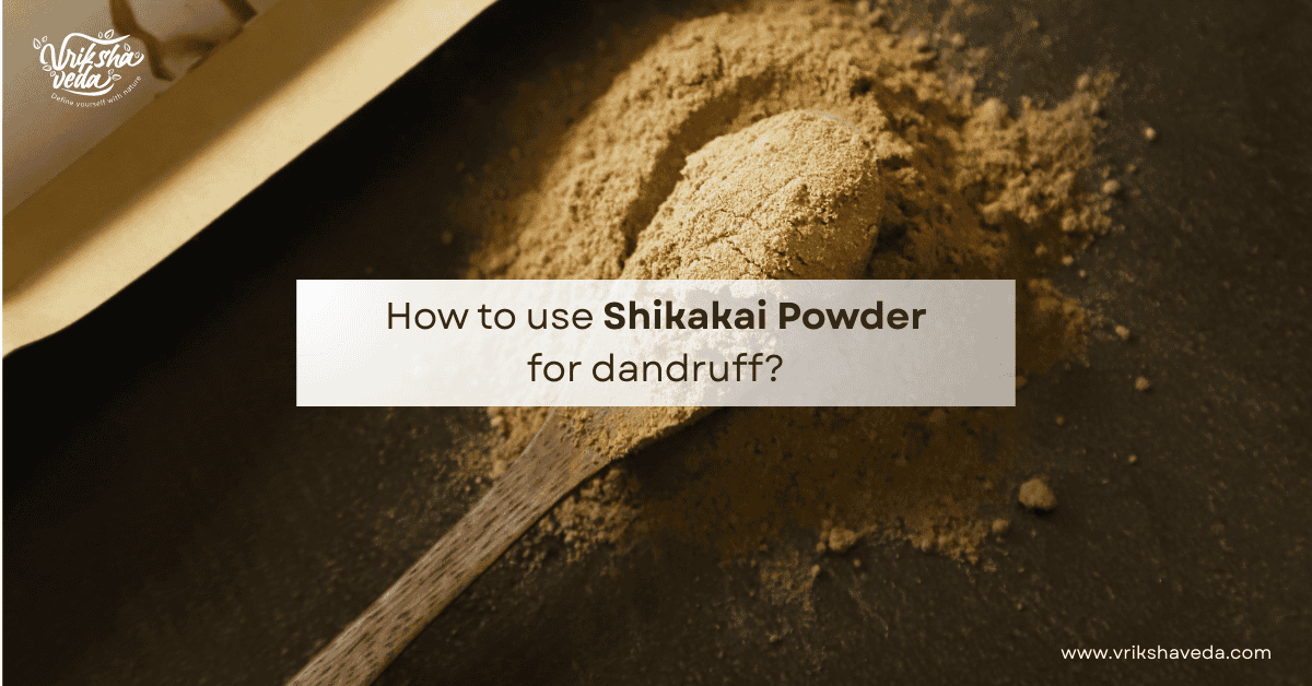How to use Shikakai Powder for dandruff?