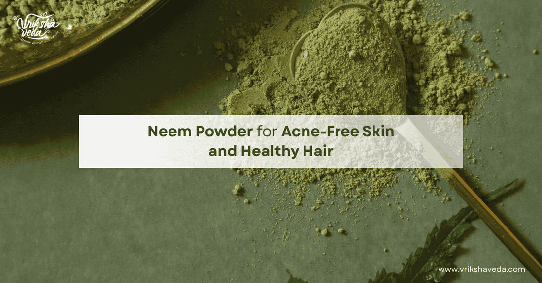 Neem Powder for Acne-Free Skin and Healthy Hair