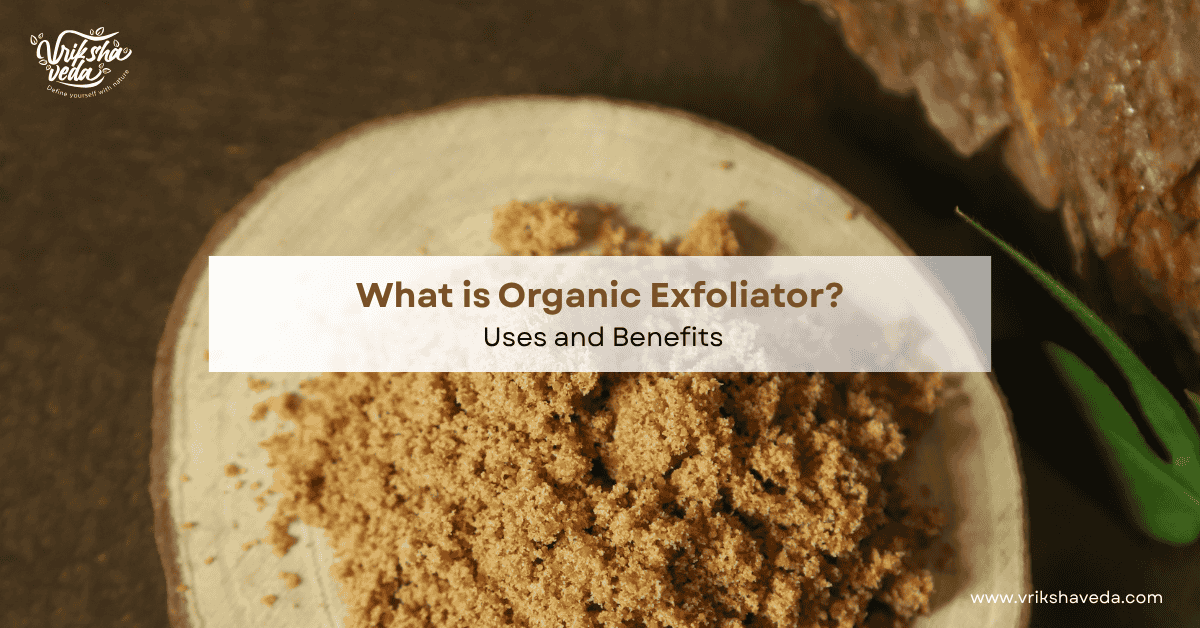 What is Organic Exfoliator? Uses and Benefits