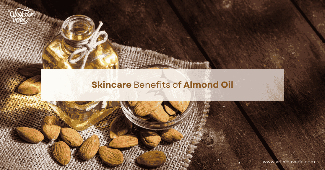 Skincare Benefits of Almond Oil [Updated 2025]