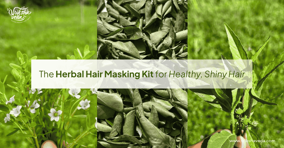 The Herbal Hair Masking Kit for Healthy, Shiny Hair