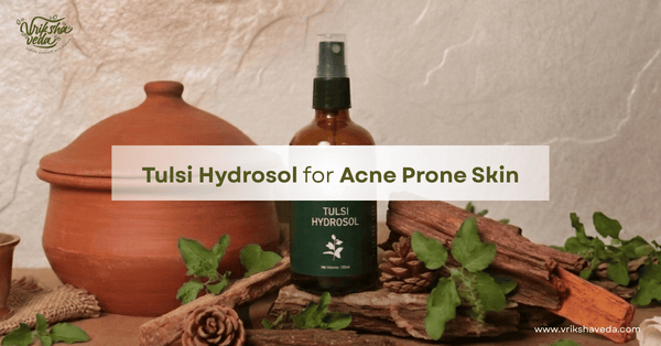 Tulsi Hydrosol for Acne-Prone Skin