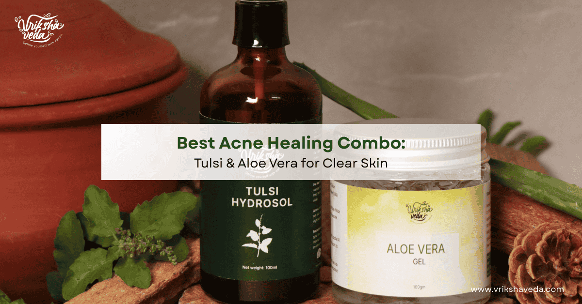Benefits of Tulsi and Aloe Vera Combo for Acne Healing