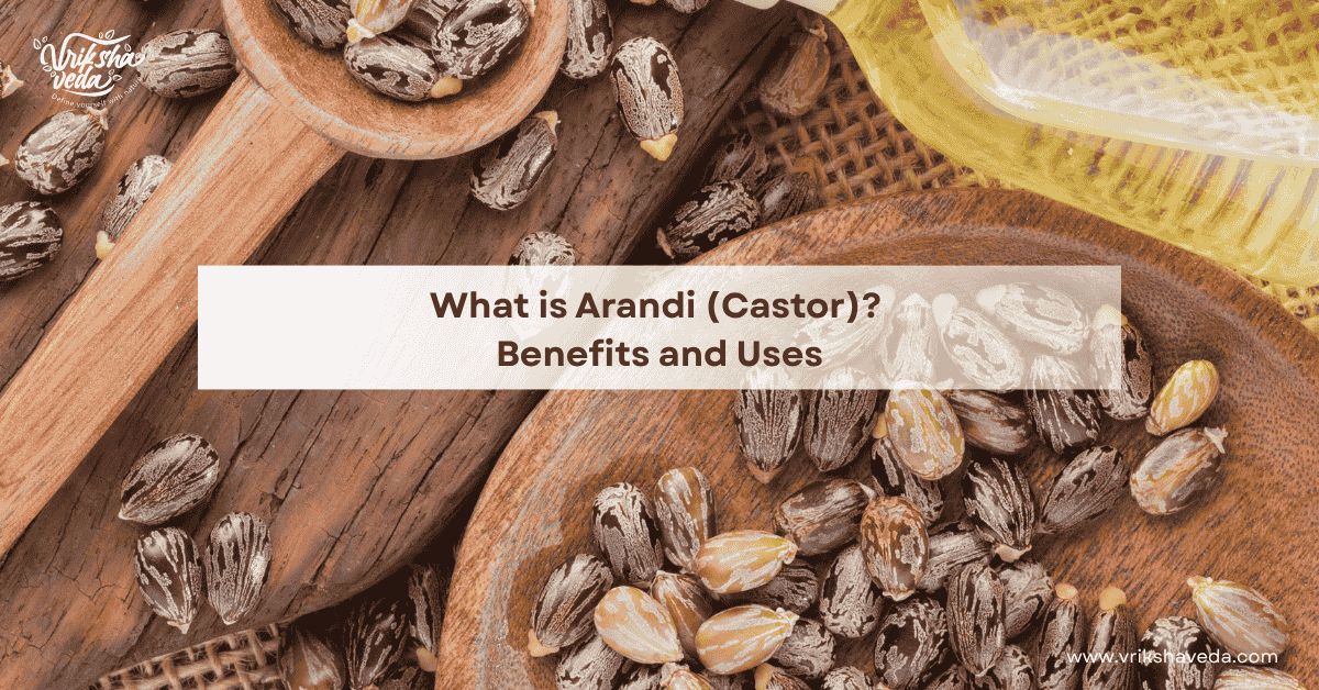 What is Arandi (Castor)? Benefits and Uses