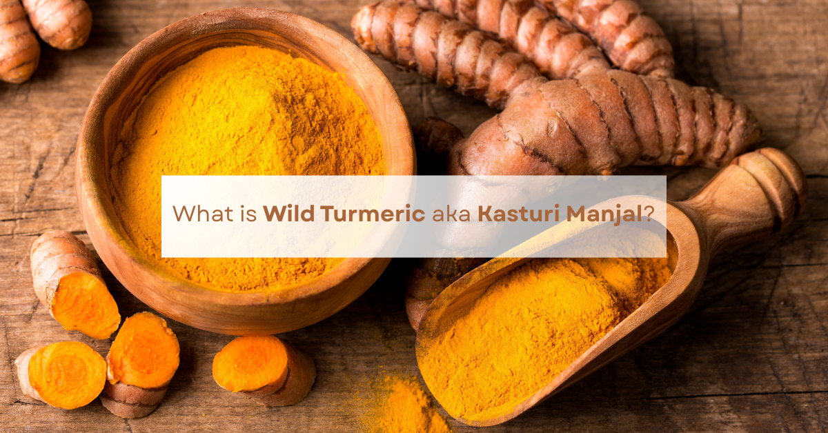 Wild Turmeric aka Kasturi Manjal