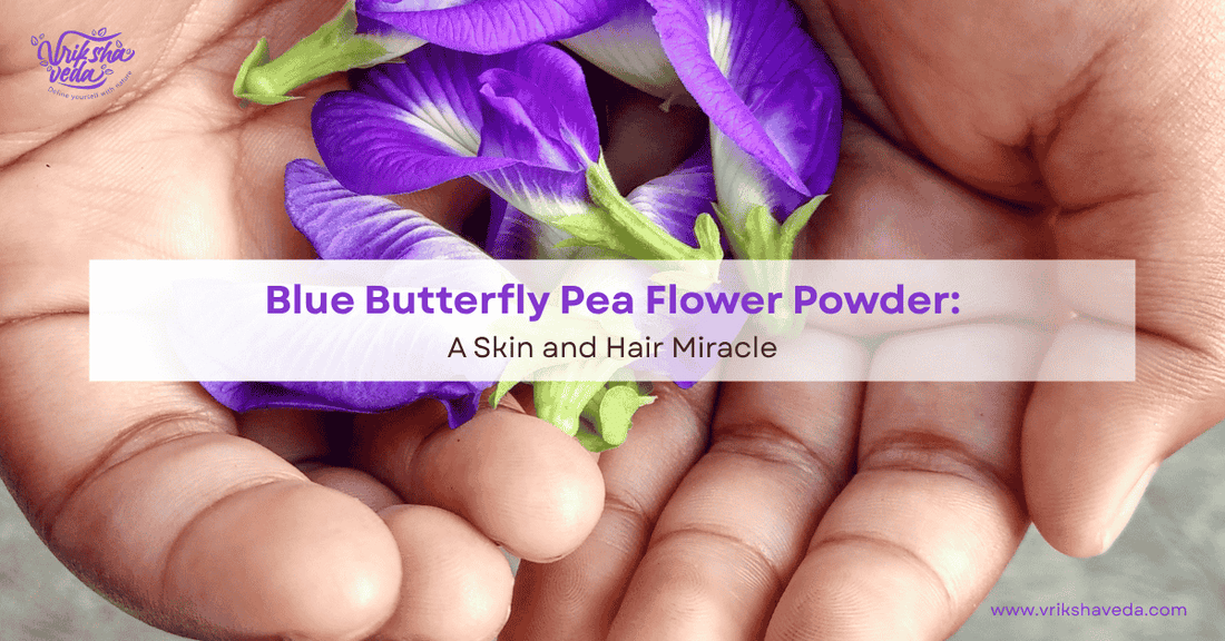Blue Butterfly Pea Flower Powder: A Skin and Hair Miracle