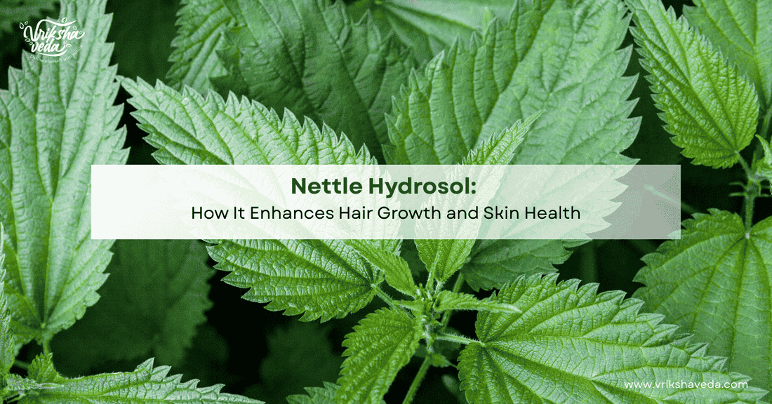 Nettle Hydrosol: How It Enhances Hair Growth and Skin Health?
