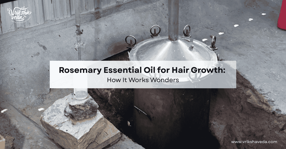 Rosemary Essential Oil for Hair Growth: How It Works Wonders?