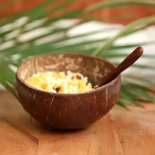 Coconut Bowl (450-500ml)