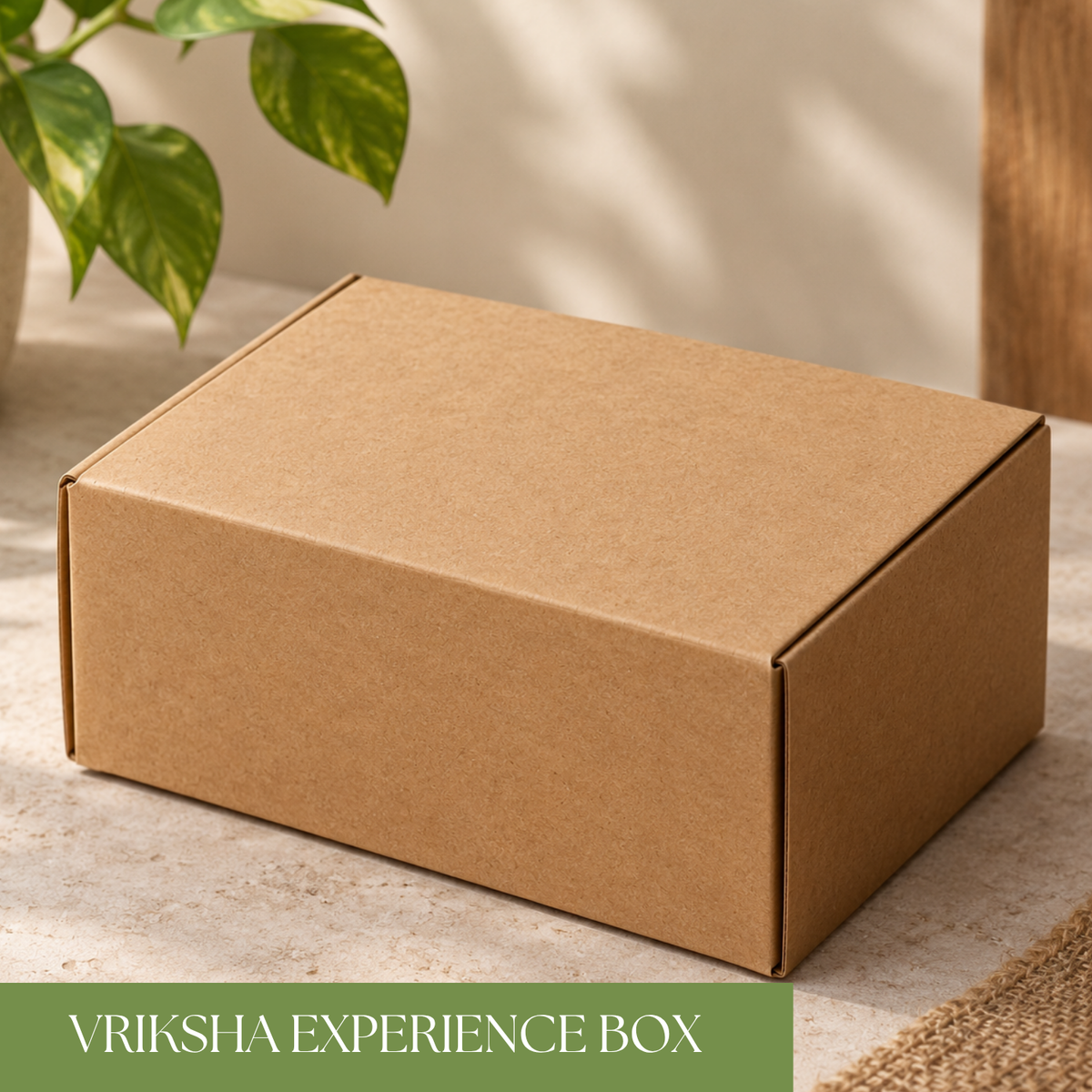 VRIKSHA EXPERIENCE BOX | 10+1 PRODUCTS