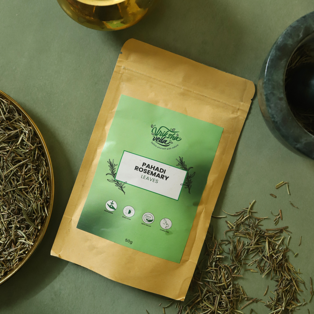 Rosemary Leaves for Hair and Skin | Pahadi Rosemary Leaves