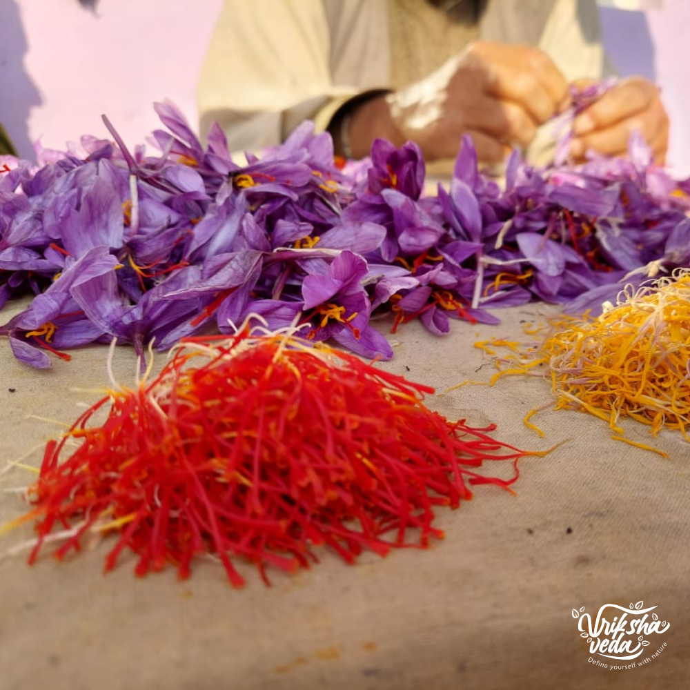 100% Pure Kashmiri Saffron | 1 gm