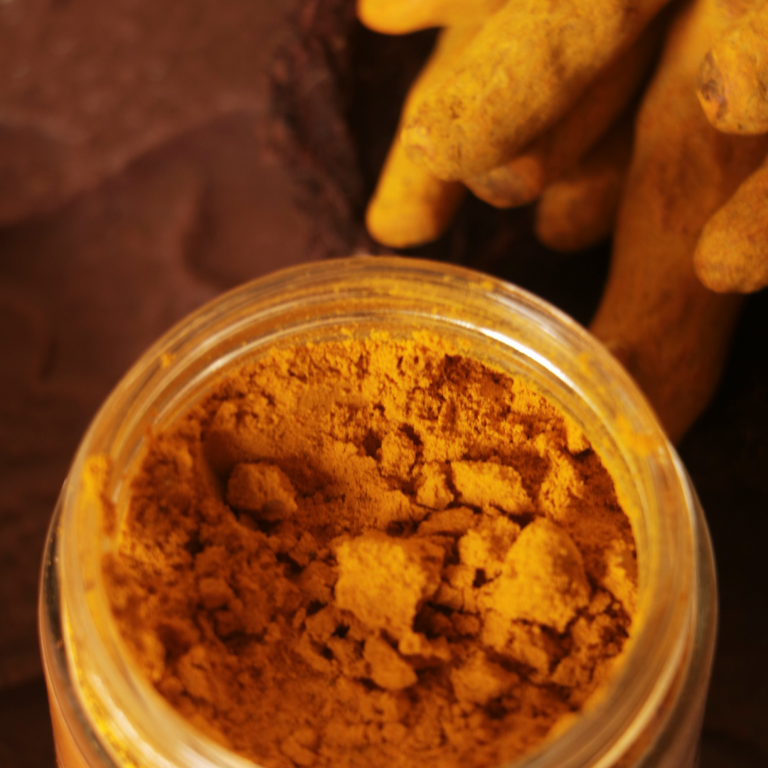 Buy Wild Turmeric Powder 50g Kasturi Manjal, Curcuma Aromatica, Jangli Haldi