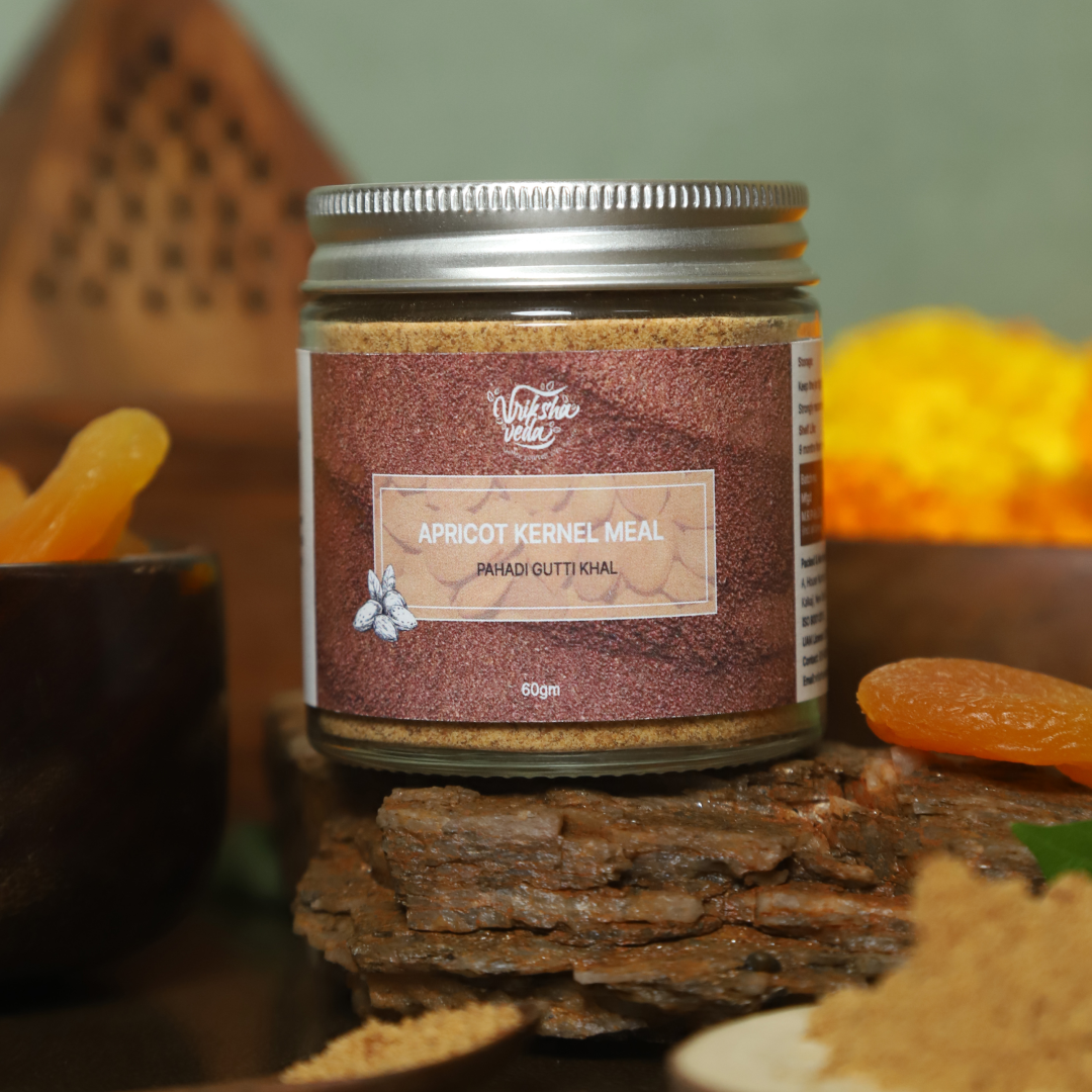 WALK IN THE MOUNTAINS